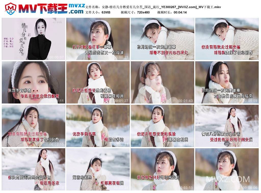 安静-情有几分愁爱有几分苦_国语_流行_YE300267